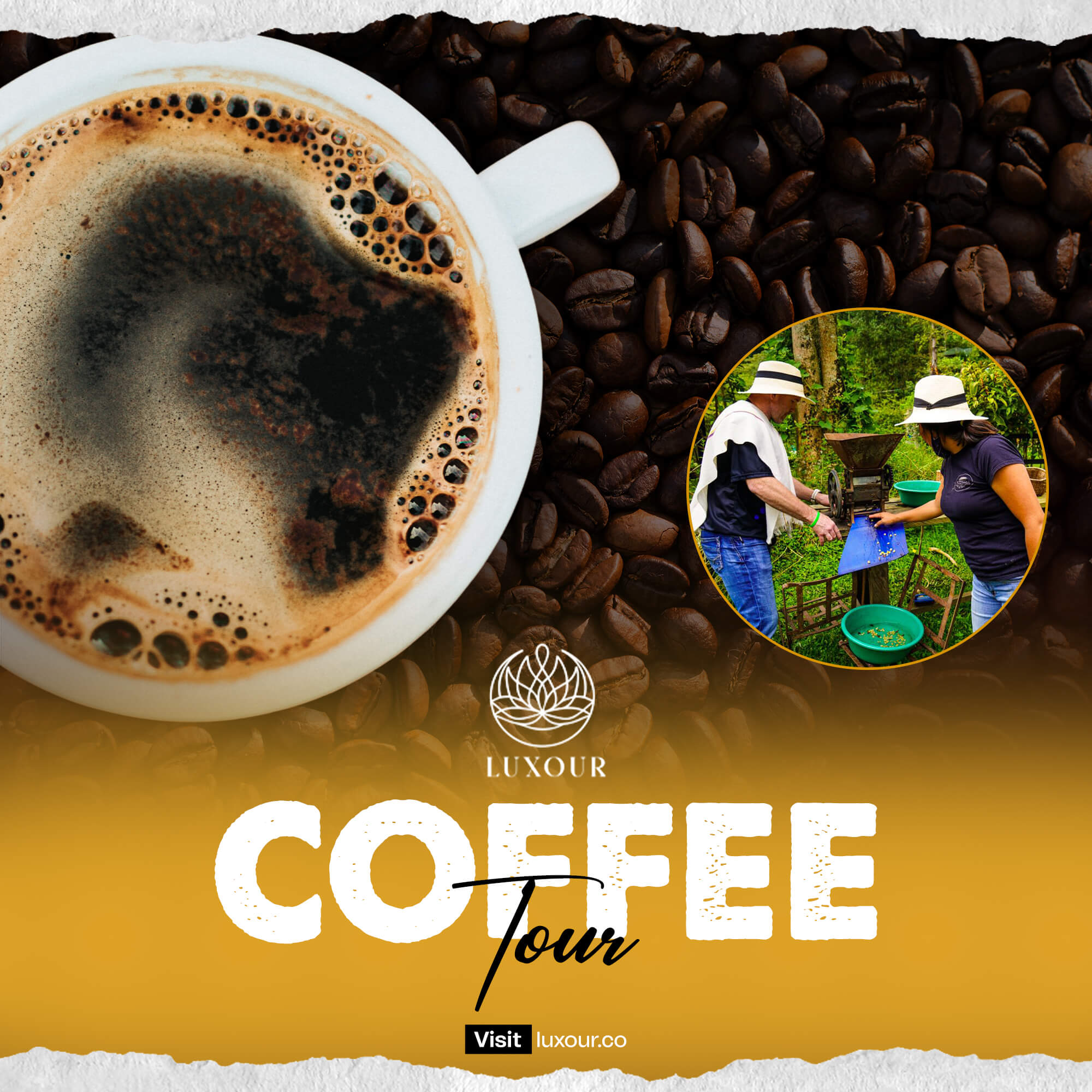 Coffee Tour